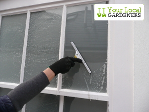 Window cleaning performed by top experts from E17.